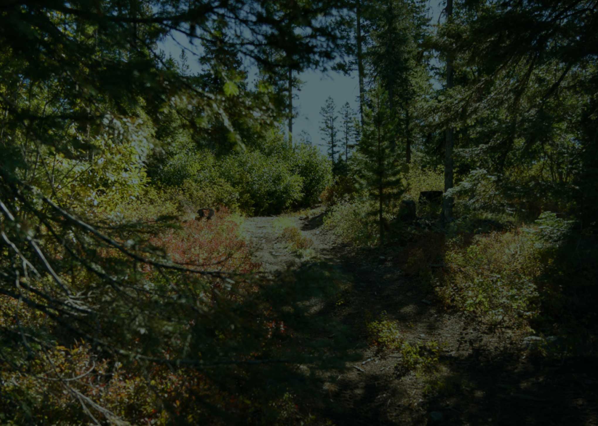 Welcome Adventure Fans!